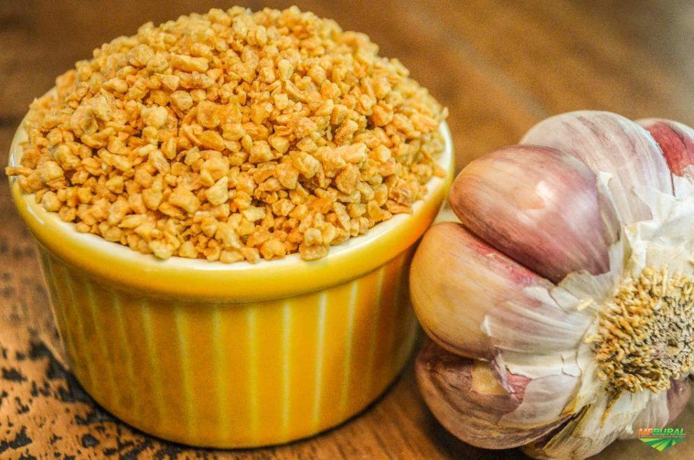 imagem de Tempero Sabor Alho Granulado Frito Kg