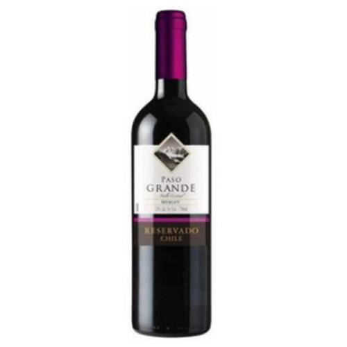 imagem de Vinho Chi Paso Grande Merlot Tto 750Ml