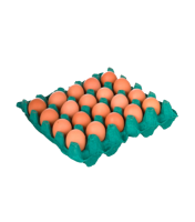 imagem de Ovos Granja Santana Vermelhos Pente Embalado C/20